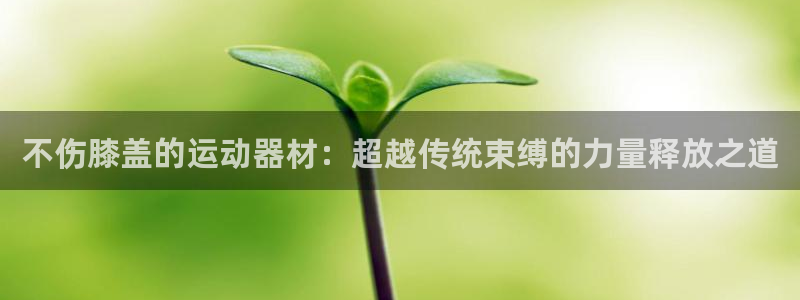 哈哈体育平台注册：不伤膝盖的运动器材：超越传统束缚的力量释放