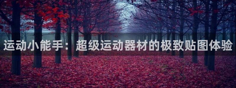 哈哈体育娱乐40996：运动小能手：超级运动器材的极致贴图体