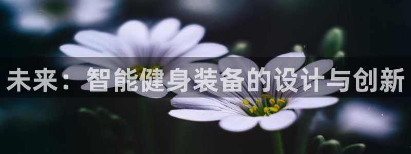 哈哈体育招商电话号码是多少