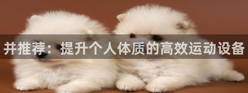 德国哈哈体育集团